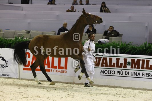 NADA BRAUN_MILANO_2010_SS3_3994.jpg